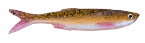 Rudd Minnow