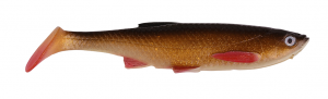 Rudd Minnow