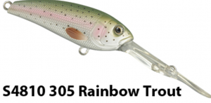 Rainbow Trout