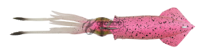 SOFT LURES SG 3D SWIM SQUID 9.5cm