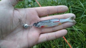 SOFT LURES SAVAGE GEAR 3D BLEAK REAL TAIL 8cm